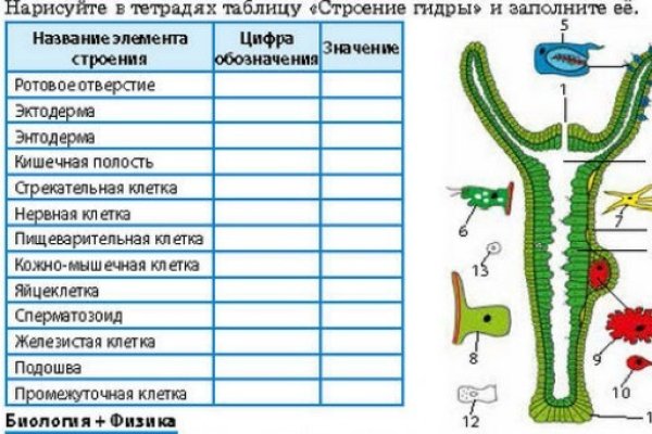 Кракен короткая ссылка