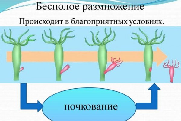 Кракен наркотики