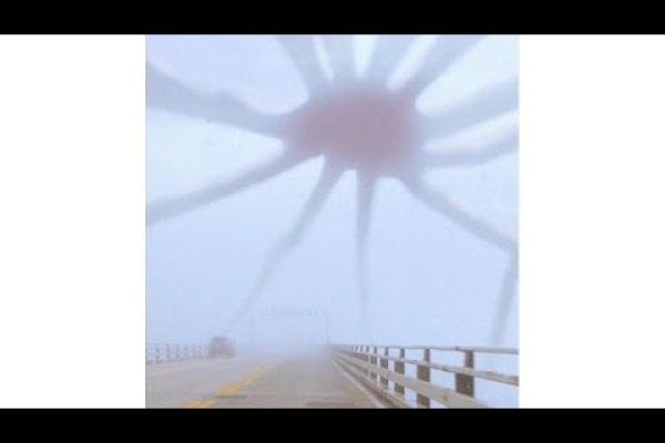 Kraken 14at