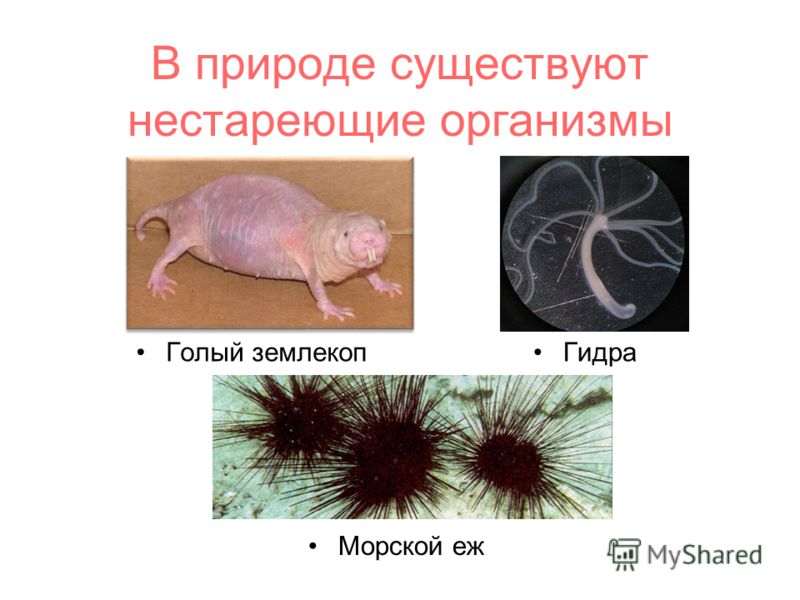 Как зарегистрироваться на кракене